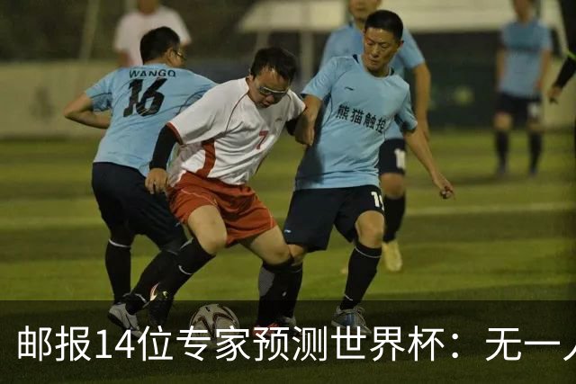 邮报14位专家预测世界杯：无一人看好英格兰队夺冠